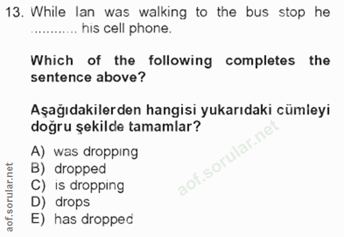 Soru 13