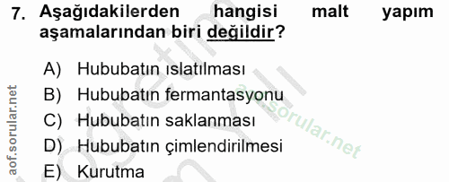 Soru 7