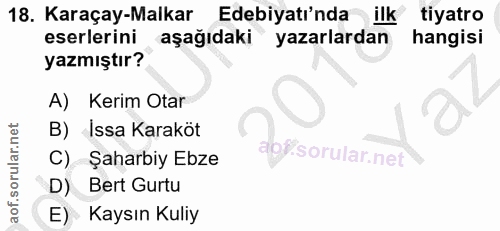 Soru 18