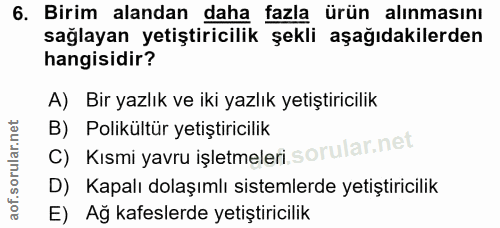 Soru 6