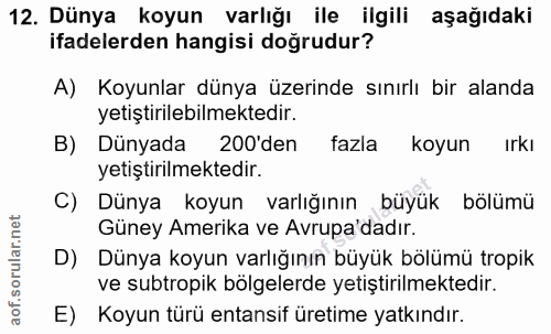 Soru 12