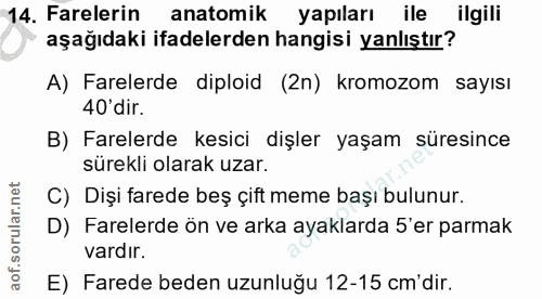 Soru 14