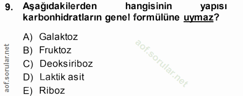 Soru 9
