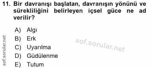 Soru 11