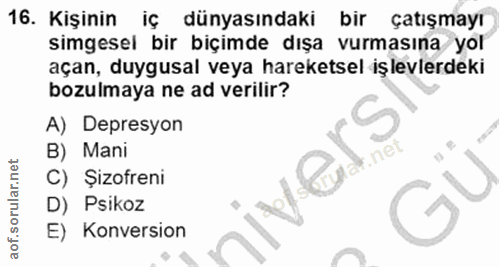 Soru 16