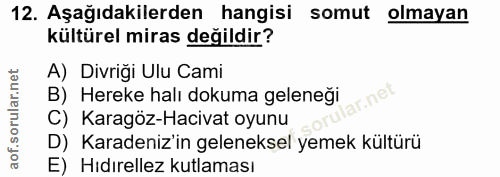 Soru 12