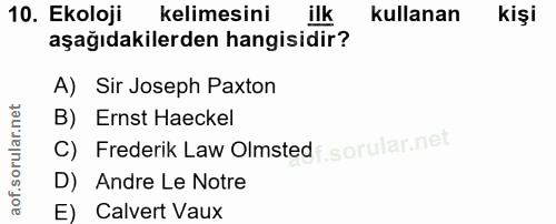 Soru 10