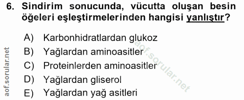 Soru 6