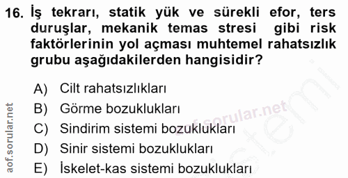 Soru 16