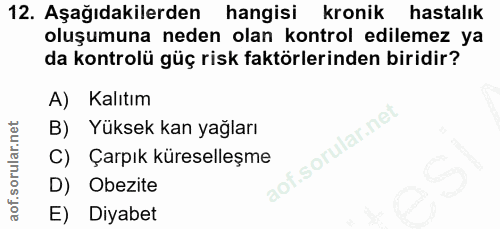 Soru 12