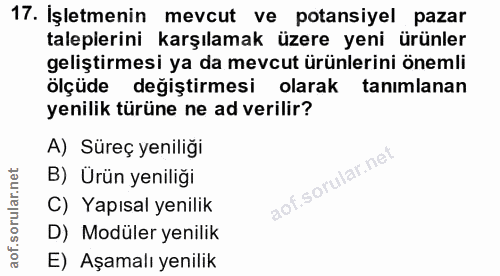 Soru 17