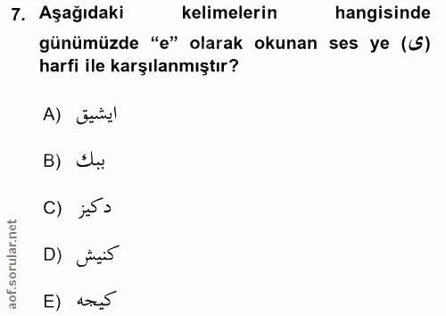 Soru 7