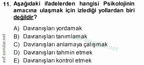 Soru 11