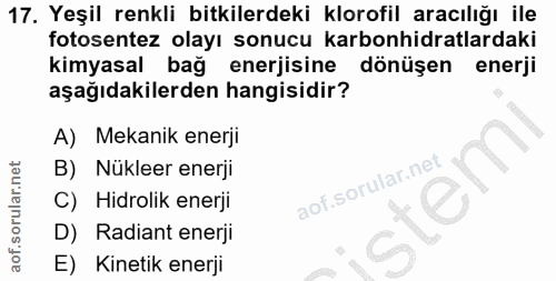 Soru 17