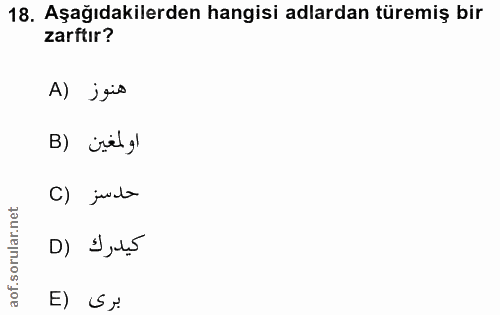 Soru 18