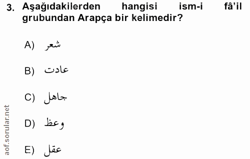 Soru 3