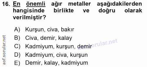 Soru 16