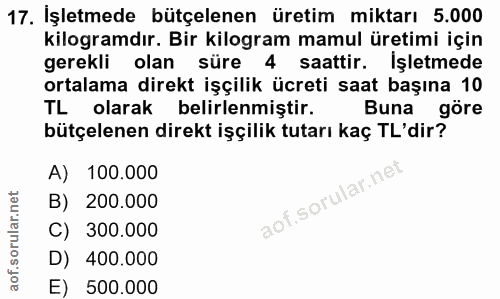 Soru 17