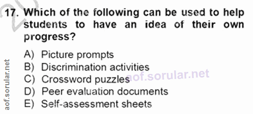Soru 17