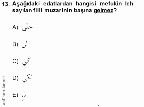 Soru 13