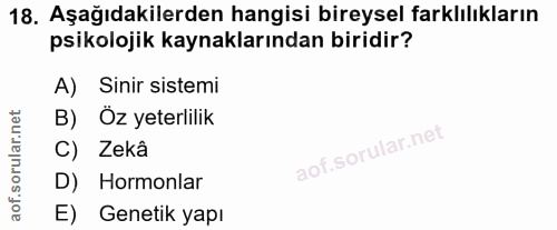 Soru 18