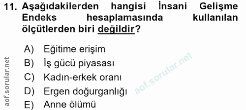 Soru 11