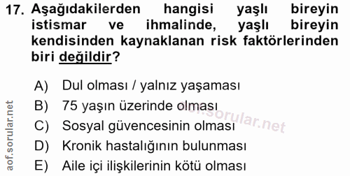 Soru 17