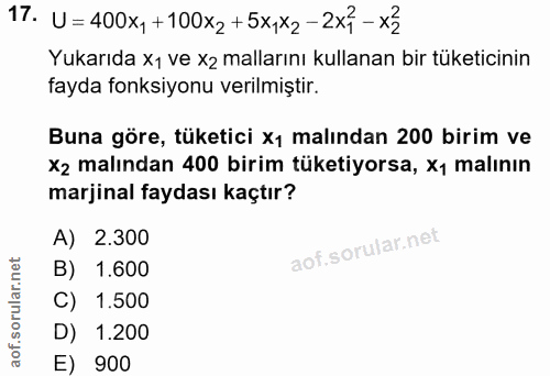 Soru 17