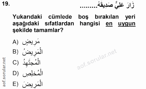 Soru 19