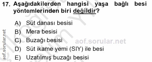 Soru 17