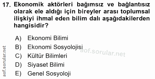 Soru 17