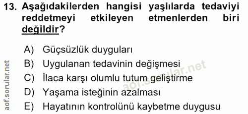 Soru 13