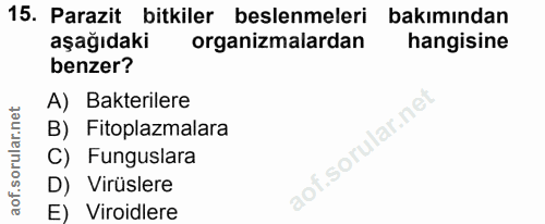 Soru 15