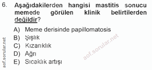 Soru 6