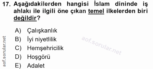 Soru 17