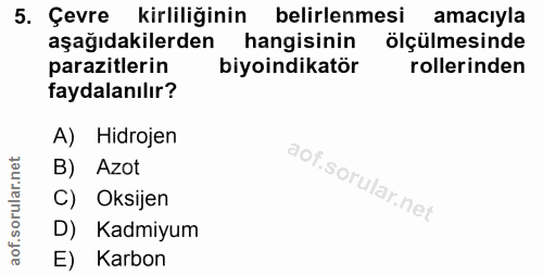Soru 5