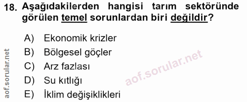 Soru 18