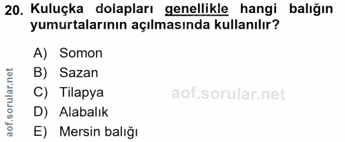 Soru 20