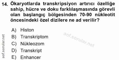 Soru 14