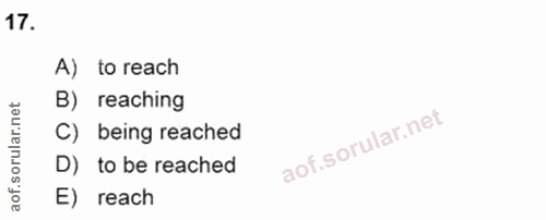 Soru 17