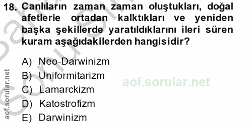 Soru 18