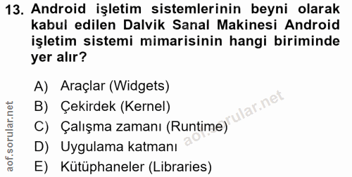 Soru 13