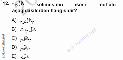Soru 12