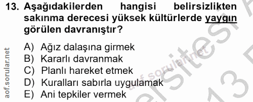 Soru 13