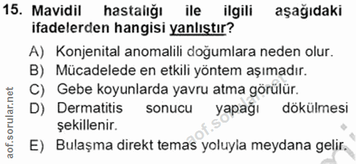 Soru 15