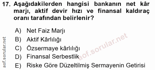 Soru 17
