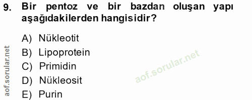 Soru 9