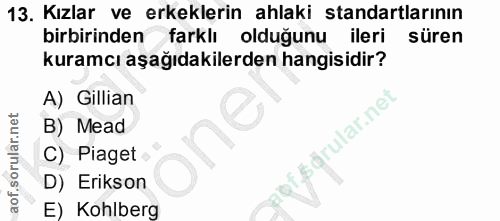 Soru 13