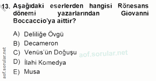 Soru 13