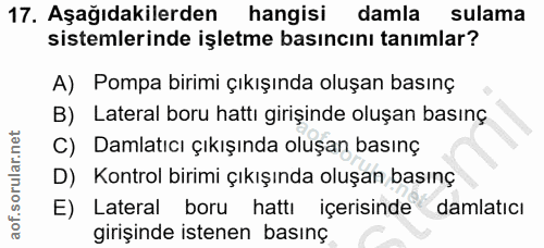 Soru 17